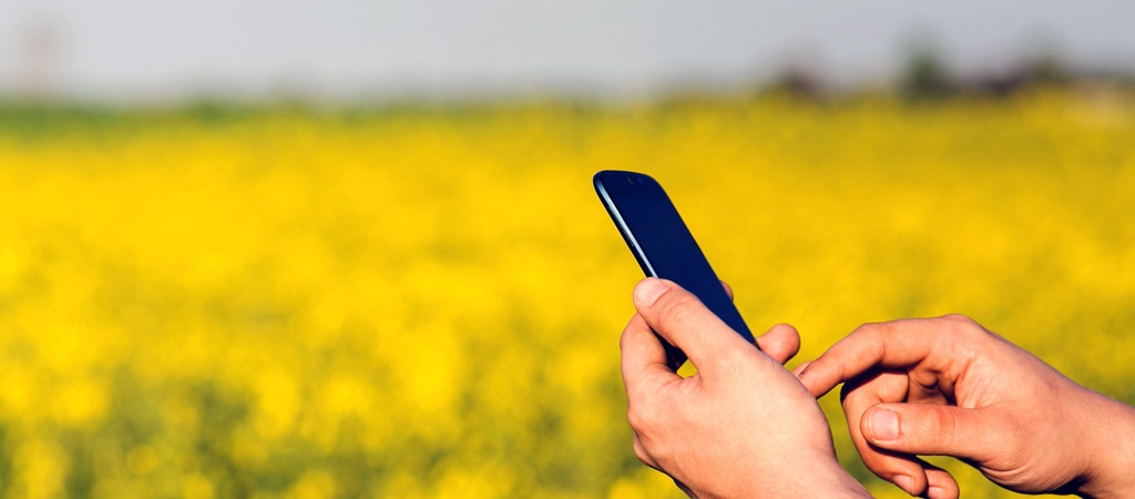 (c) CC0 Public Domain / Pixabay.com